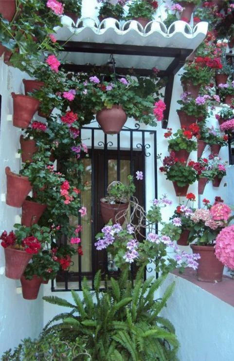Los Claveles Guest house Baena